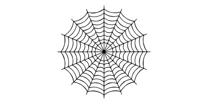 Intricate hand-drawn black spider web silhouette pattern