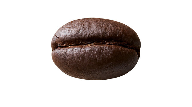 Dark roasted coffee bean with visible texture, isolated on transparent background