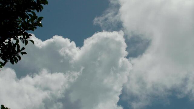 夏と入道雲