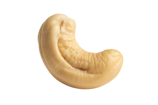 A single raw cashew nut isolated on a simple surface
