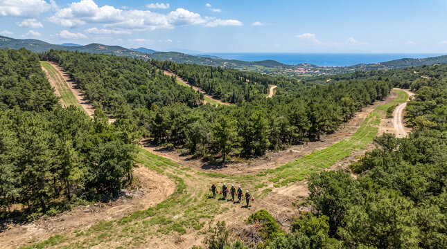 Monte mediterr&aacute;neo con cortafuegos y vegetaci&oacute;n controlada para reducir el riesgo de incendios forestales y proteger el ecosistema.