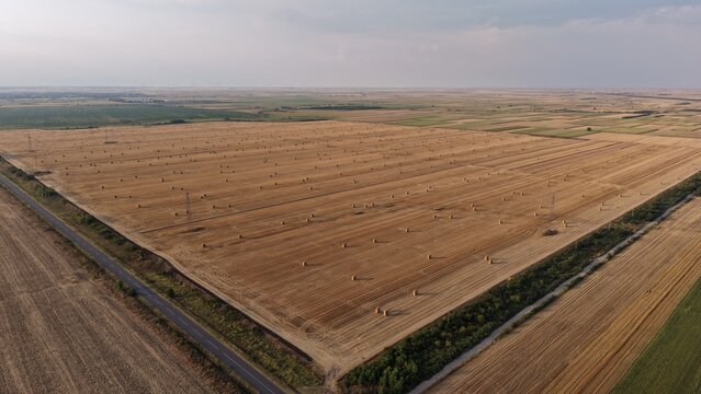Aerial view of a vast harvested wheat field dotted with numerous hay bales under a clear sky in the agricultural landscape of Crepaja, Vojvodina, Serbia.