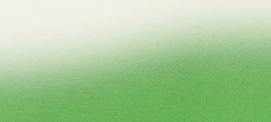 Fotobehang Ombre Gradient green white background with grainy texture  © ArtPixel-Portfolio