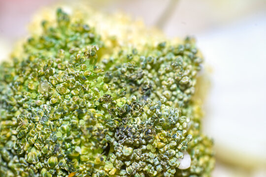 Macro close-up shot showing detailed texture of green broccoli floret surface