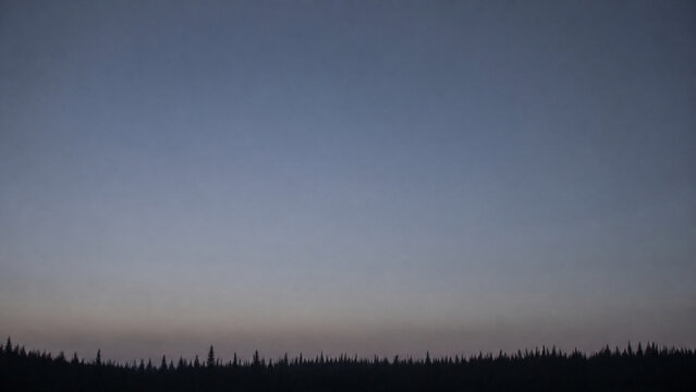 A row of pine silhouettes along a distant ridge line rendered as a