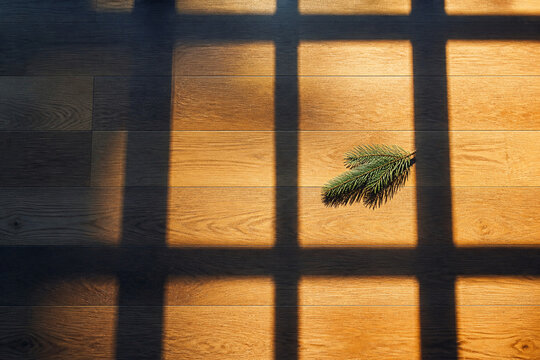 Window frame shadows forming a clean grid across a bare wooden floor