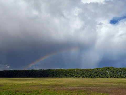 Rainbow in the sky above agricultural fields and forest belt.