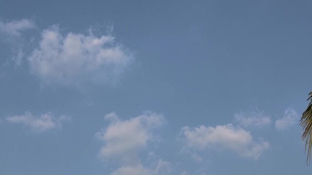 Beautiful blue sky with white clouds and gentle coconut tree leaves swaying on the right edge
