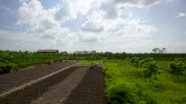 Farmer tilling soil in rural field