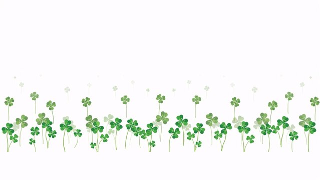 Flat of green clover leaves on white background shamrock