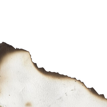 decorative paper png transparent