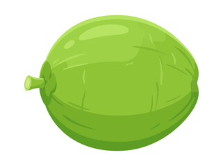Illustration of a vibrant green coconut with detailed texture isolated on white background showcasing tropical fruit freshness and exotic appeal in a simple yet striking visual representation © Vector World