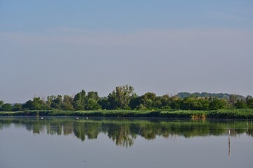 Fototapeta premium Perfekte Verspiegelung im Pacsmag Naturschutzgebiet, Ungarn