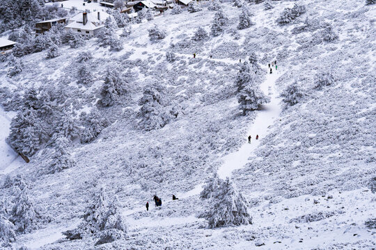 Landscape of Navacerrada Ski Resort (Madrid, Spain)