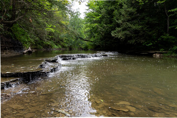 Cascading Creek Waterfalls, A serene forest scene with a shallow river flowing over layered rock formations creating small cascades © Don Mroczkowski