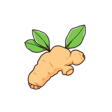 Vector hand drawn ginger icon in earthy brown for autumn harvest promotions, isolated vector, clean edges, no shadows, transparent background