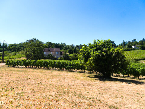 Beautiful vineyards at Monbazillac village, near charming Bergerac city, southern France. Idyllic and picturesque, rural landscape in the bucolic rolling hills of the valley of the Dordogne river.
