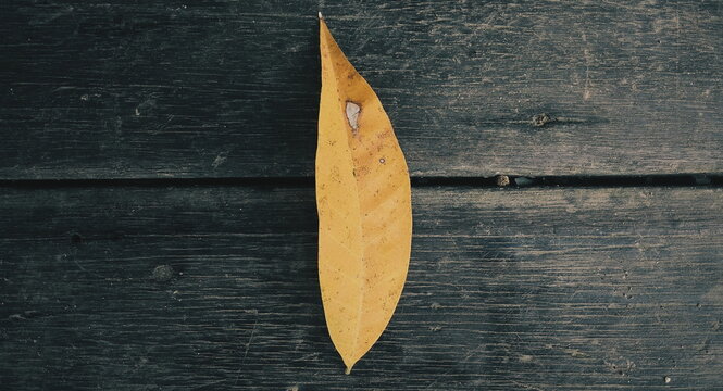 Processed with VSCO with g2 preset