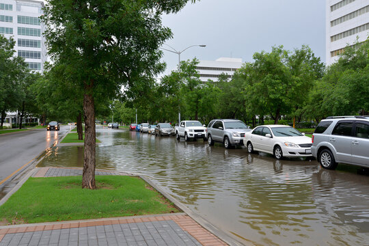 Flooded street with parked cars and trees