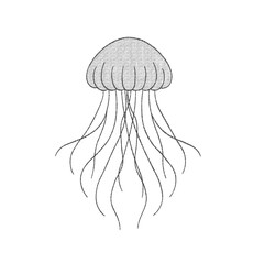 Minimalist Hand Drawn Jellyfish Line Art Illustration Icon © milami