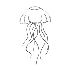 Minimalist Hand Drawn Jellyfish Line Art Illustration Icon © milami
