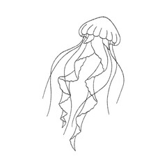 Minimalist Hand Drawn Jellyfish Line Art Illustration Icon © milami