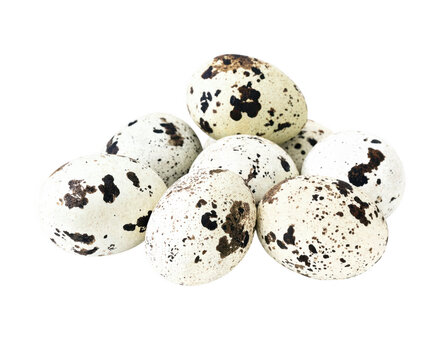 Close Up View Of Speckled Bird Eggs Clustered Together Naturally transparent background
