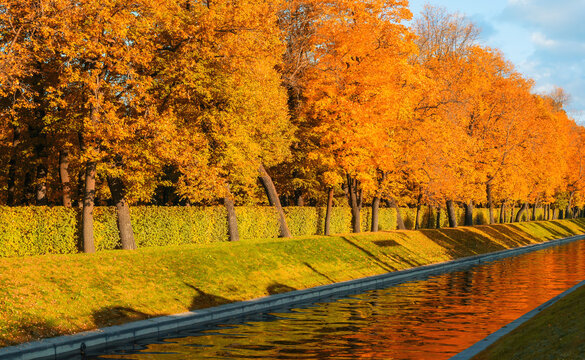 Autumn in the city, panoramic autumn landscape. A row of trees with golden leaves along the city channel in October sunny weather