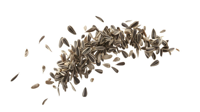 Multiple striped sunflower seeds flying in dynamic motion isolated on white view on transparent background