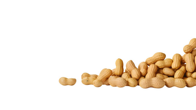 Bunch of raw brown roasted peanuts scattered artistically across the studio space on transparent background