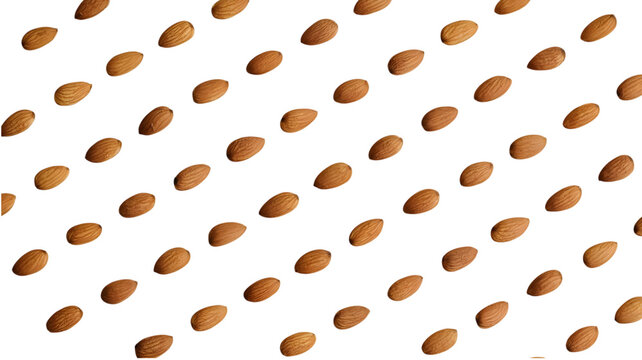 Numerous organic brown almonds arranged in a neat repeating pattern shown isolated on transparent background