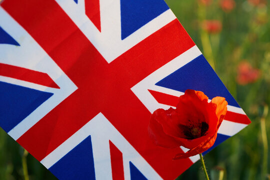Union jack flag with red poppy flower for remembrance day