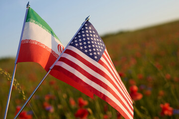 Obraz premium Iran and usa flags representing international diplomacy in meadow