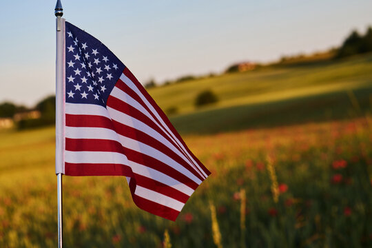 Usa flag waving in poppy field at sunset