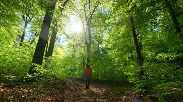 Hiker enjoying a relaxed walk in a lush forest on a glorious spring day, with fresh vibrant green of the leaves illuminated by the tranquil sunlight