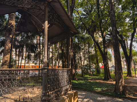 Jardim Da Luz Park, in Sao Paulo, Brazil.