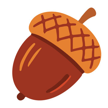 Brown autumn acorn oak nut fall thanksgiving vector illustration