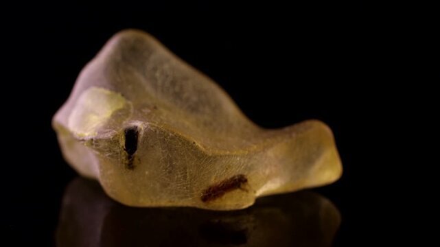 copal resin