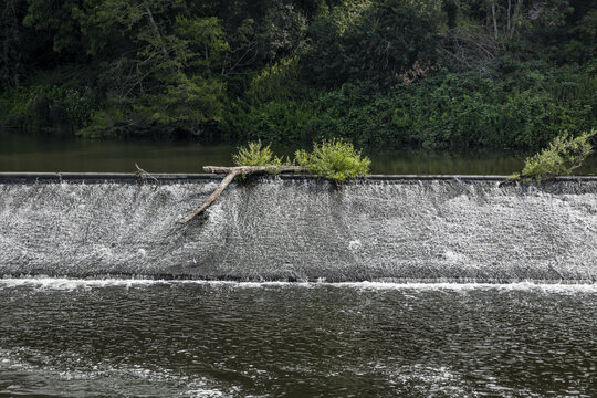 View of the River Severn weir with water cascading over the stone structure, a fallen log, and lush green vegetation in Worcester, England, United Kingdom.