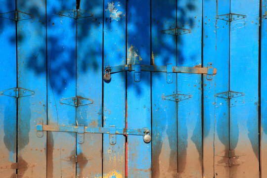 Shadows of leaves cast across old blue wooden folding doors of a closed shop, creating an abstract pattern of light and shade