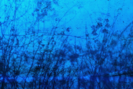 Abstract shadow of a bush cast on a blue textured background, creating a minimalist natural pattern with strong contrast