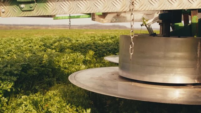 spinning saw rotating blades cuts parsley up close. process of collecting sorting various herbs greens parsley for packaging. tractor harvester machine mechanism cutting mowing herbs conveyor