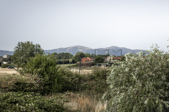 View of the rolling Malvern Hills in the distance with lush green foreground vegetation, trees, and residential buildings under a clear sky in Worcester, England, United Kingdom.
