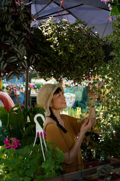 Asian Woman Gardening at Outdoor Plant Market Smiling While Inspecting Hanging Ivy and Flowers