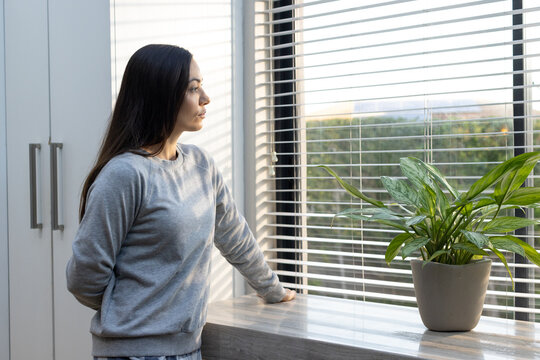 Woman in grey sweater standing at home window gazing through blinds with potted plant on windowsill