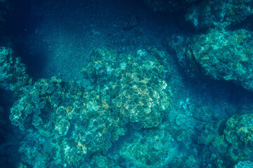 Vast coral reef stretching through deep blue ocean water © Satoshi