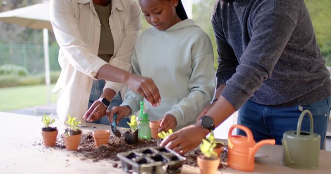 African family starting by spreading soil and planting seedlings at patio with clay pots for garden