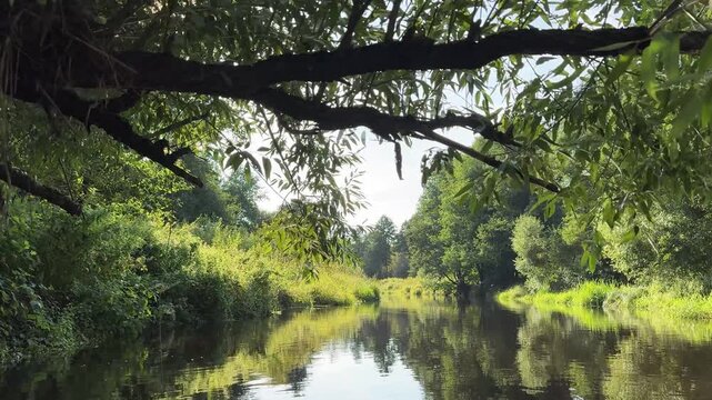 A view of the river from a boat, gliding through the branches of trees on a summer day, horizon stretching across the smooth surface of the river. A natural landscape, a countryside getaway, rafting