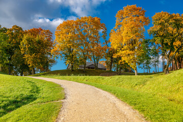 Naklejka premium Gravel path leading to golden trees and wooden house in autumn