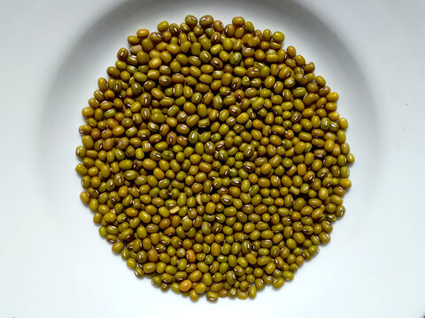 Fresh green mung beans pile centered on a white plate